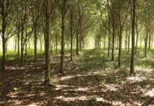 CAMIPE propone fortalecer las garantías de cierre y remediación ambiental en la nueva ley minera