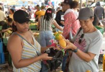 Expo Mango 2026 impulsa negocios y fortalece oportunidades comerciales para productores