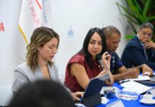 Faride Raful valora aprobación de Alerta RD como un paso decisivo para proteger vidas