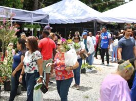 Jarabacoa celebra los 15 años del Festival de las Flores con una edición histórica