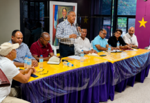 En progreso la Consulta del PLD