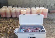 Capturan a tres hombres vinculados a red de narcotráfico