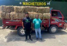 Ejército retiene camión cargado con 125 postes de cambrón ocultos entre pacas de paja sin permiso ambiental en Esperanza, Valverde
