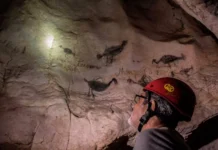 Abinader declara de utilidad pública terrenos Cuevas del Pomier