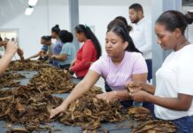 Proindustria fortalece la infraestructura industrial con obras que impulsan la inversión y la generación de empleos