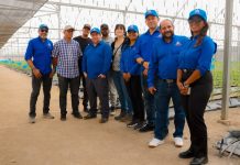 República Dominicana comparte con Chile su experiencia en tecnificación del riego y producción agrícola bajo ambiente protegido