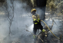 España y Francia combaten a contrarreloj los incendios ante nueva ola de calor