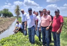 INDRHI interviene canales y drenajes para garantizar agua a zona arrocera de Cenoví