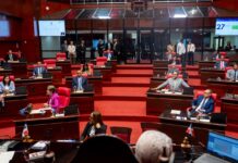 En maratónica sesión, el Senado aprueba en primera lectura reformas a Ley Orgánica de la Policía Nacional