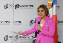 ProCompetencia plantea modernizar ley de competencia para enfrentar desafíos de la economía digital