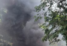 El Inacif destruye cerca de una tonelada de drogas