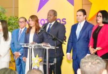 PLD pide declarar en emergencia el sector público de salud