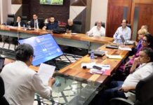 El PLD en los aprestos para realizar su Consulta en el exterior