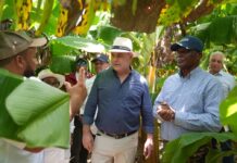 Agricultura adopta primeras medidas para reactivar el desarrollo agrícola del Valle de Juancho