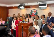 Diputados provida llaman al Tribunal Constitucional a respetar la Constitución y no extralimitarse en sus facultades