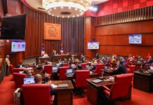 Senado aprueba en segunda discusión ley para la protección y adquisición del Patrimonio Cultural de la República Dominicana