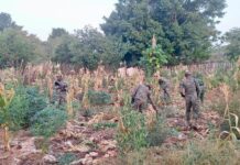 Ministerios de Defensa y Medio Ambiente ejecutan la operación “Compromiso Ambiental 2026”