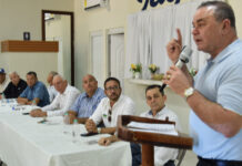 Agricultura y sector arrocero activan estrategia nacional para enfrentar el chinche de la espiga