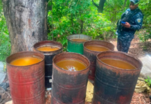 Desmantelan fábrica clandestina alcohol adulterado
