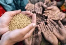 La ONU prevé un “golpe” del fenómeno El Niño a la seguridad alimentaria centroamericana
