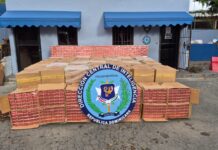 Agentes del DINTEL y Prevención incautan 1,579,400 cigarrillos de contrabando camuflados con hojas de batata en Baní