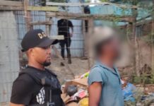 La Vega, Pedernales y Elías Piña concentran 368 detenidos durante operativo nacional de interdicción migratoria
