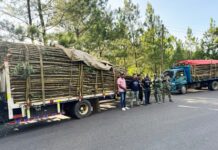 Soldados del Ejército incautan cargamento de madera sin documentación legal en Santiago