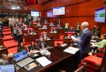 En sesión extraordinaria Senado aprueba en segunda lectura modificación a la Ley de la Policía Nacional
