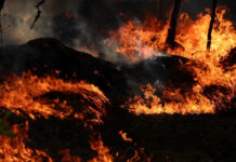 Los incendios alcanzan cifras inéditas en Francia, con 200.000 evacuados en el suroeste