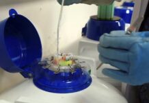 Los factores ambientales son determinantes en la calidad del semen (superior en el norte)