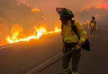 12 muertos y 8 heridos en un incendio en el sur de España, el más grave hasta la fecha