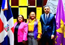 PLD escoge nueva vocería en la Cámara de Diputados