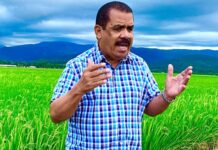 PLD alerta alza importaciones perjudica a productores de RD