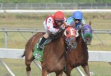 Jinetes Quevedo y Torres gana dos carreras cada uno en el Quinto