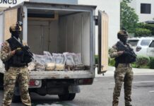 DNCD ocupa 321 paquetes de presunta cocaína ocultos en contenedor en Caucedo, Boca Chica