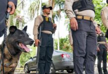 Golpean redes microtráfico en el Distrito Nacional
