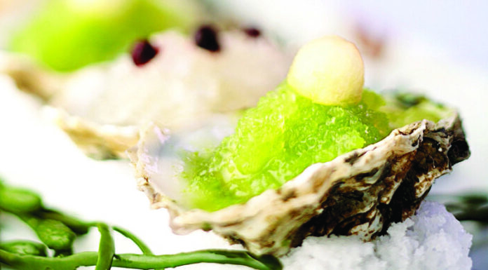 La Romana se convertirá en el centro de la alta gastronomía del Caribe