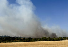 Controlado incendio en sur de Francia que obligó a cortar una autopista y evacuar vecinos