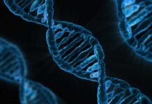 Crean unas moléculas fluorescentes que permiten ver el ADN a escala casi molecular