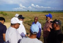 INDRHI supervisa avances de obras hidráulicas en Bajo Yuna y Monte Plata para fortalecer protección a comunidades y producción agrícola