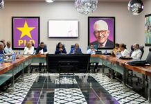 Avanza el PLD en la organización de la Consulta
