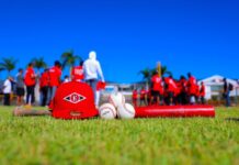 Leones dejan en libertad a cuatro jugadores