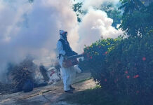 Salud Pública llama a reforzar la prevención en los hogares para mantener el dengue bajo control