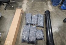 DNCD incauta marihuana en portaplanos