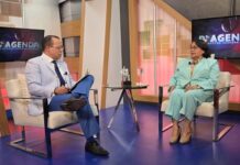 Cámara de Cuentas concluye informe sobre caso SENASA