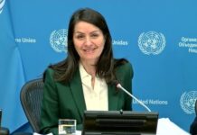 Dinamarca centrará presidencia del Consejo de Seguridad en hambre, Ucrania y comicios ONU