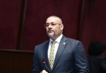 José David Báez y Eduardo Espiritusanto encabezarán bloques legislativos de Fuerza del Pueblo