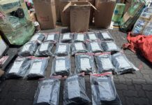 DNCD incauta 41 paquetes de marihuana en puerto de Haina oriental