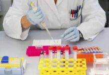 El microbioma de boca e intestino podría ayudar a detectar cánceres gastrointestinales