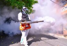 Salud Pública mantiene el dengue bajo vigilancia